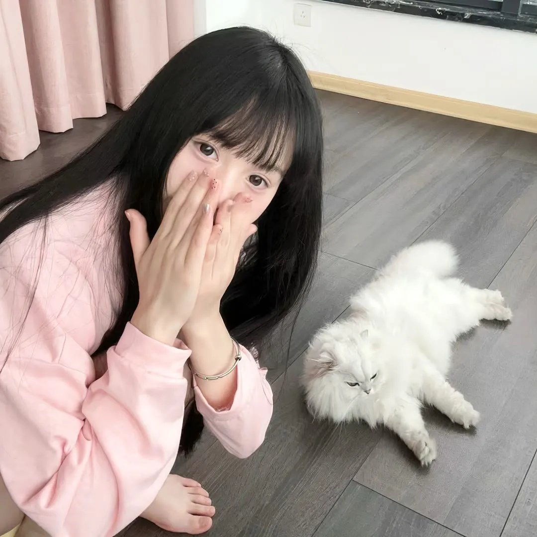 超级鲍勃